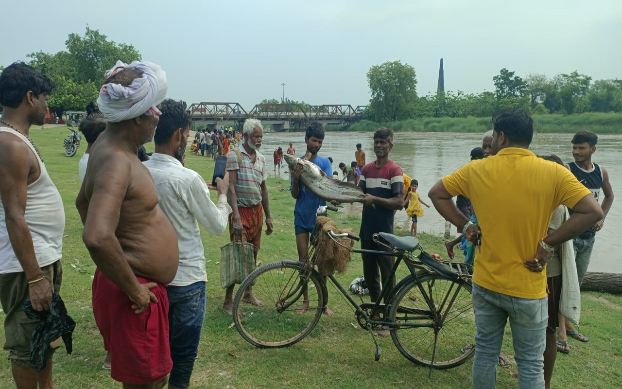 araria news