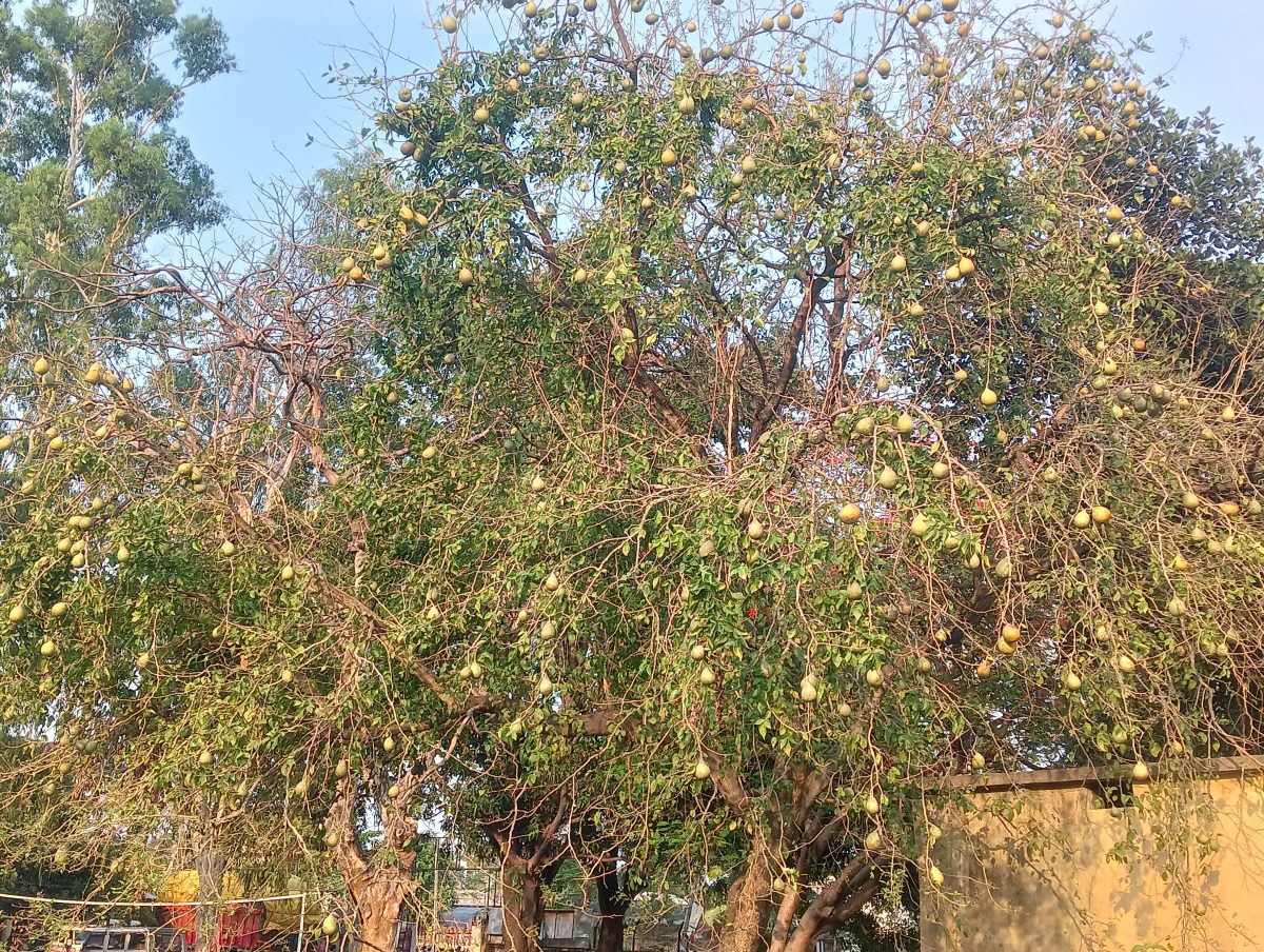 an image