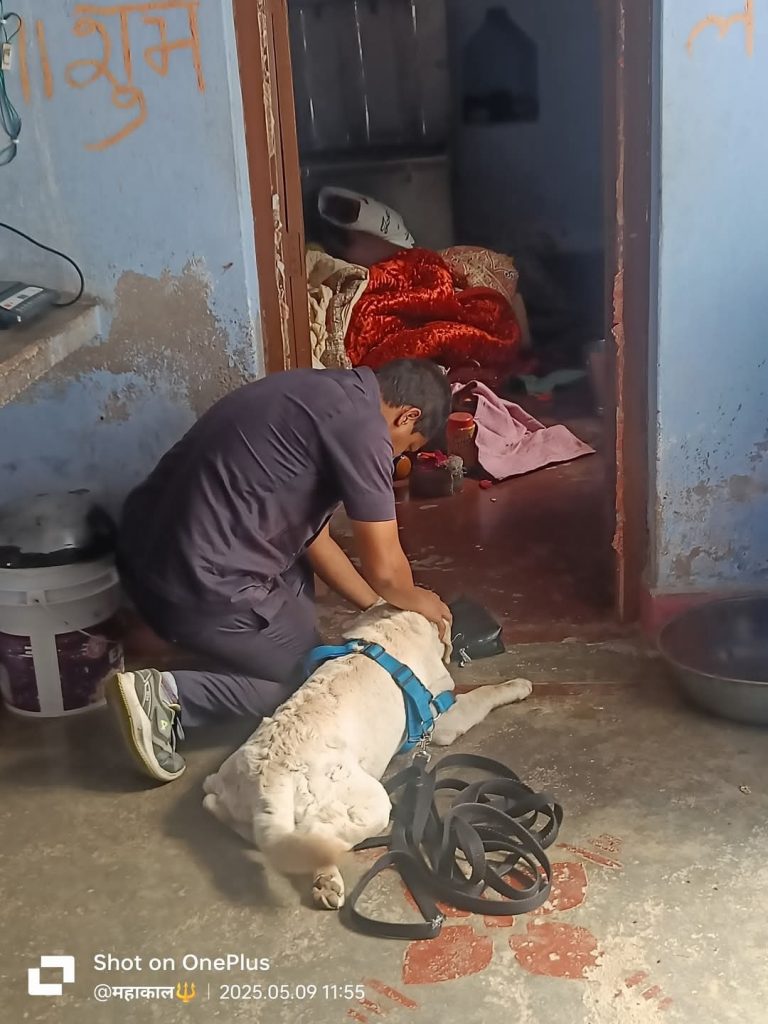 केसपा गांव में हुई चोरी, पुलिस छानबीन में जुटी