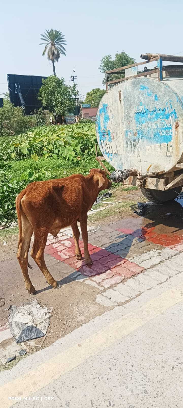 Darbhanga News: सुबह नौ बजे से ही आसमान से बरसने लगती आग, पारा 41 डिग्री के पार Darbhanga News: सुबह नौ बजे से ही आसमान से बरसने लगती आग, पारा 41 डिग्री के पार