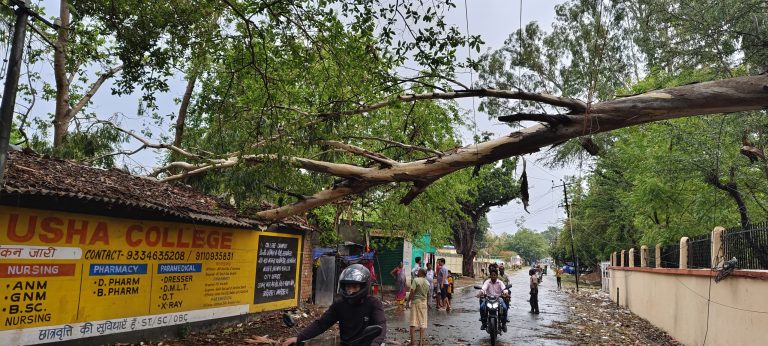 Seraikela News : खरसावां में तूफान से कई जगहों पर पेड़ गिरे, घरों के एस्बेस्ट्स उड़े