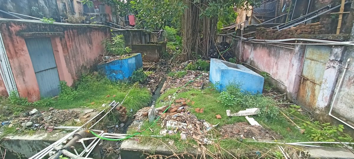 an image