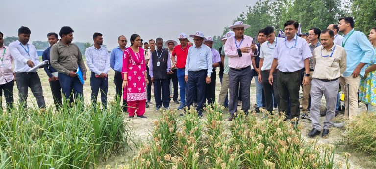 Agriculture university news from Samastipur:बाजरा आधारित उत्पादों को बेचने को वेबसाइट लांच : कुलपति