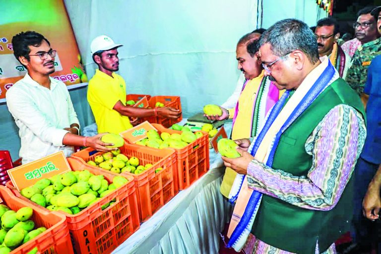 Sambalpur News: दुबई और इंग्लैंड तक पहुंची संबलपुर के आम की मिठास