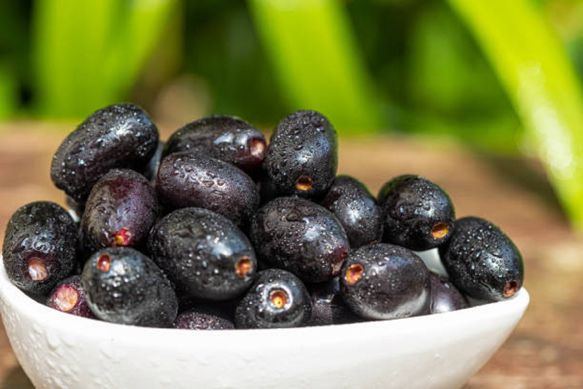jamun