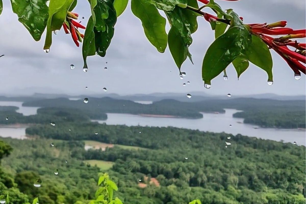 jharkhand monsoon