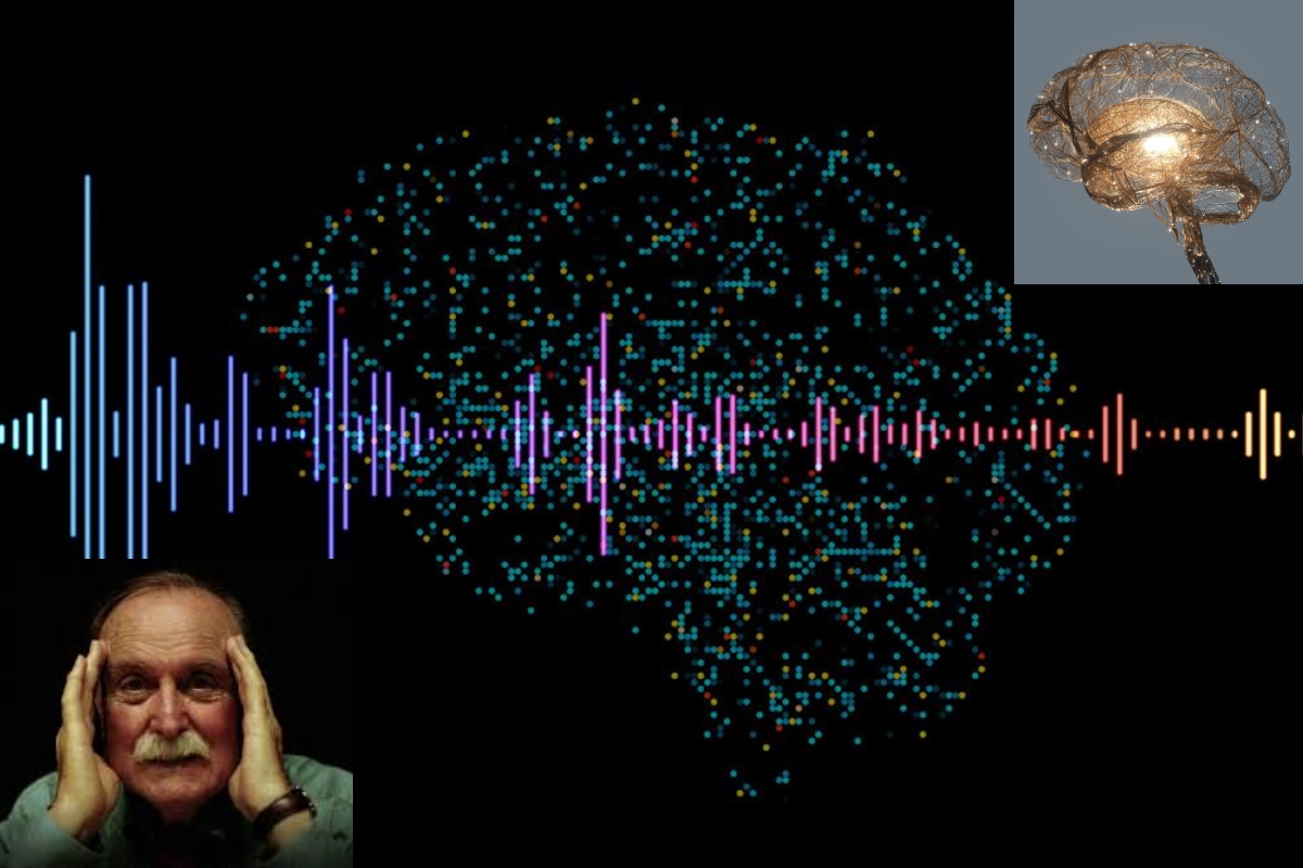 lab grown brain