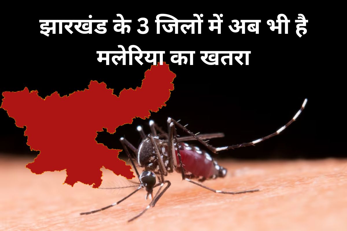 malaria in jharkhand