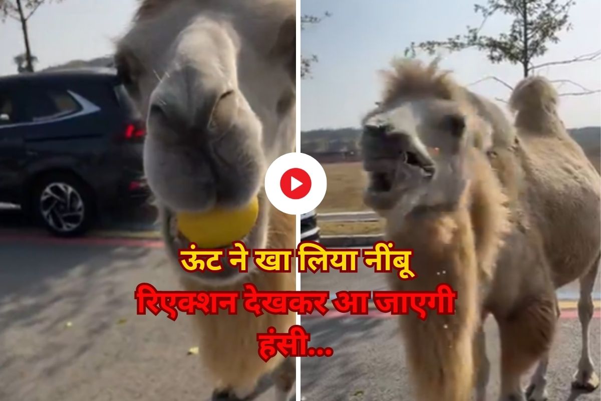 viral video