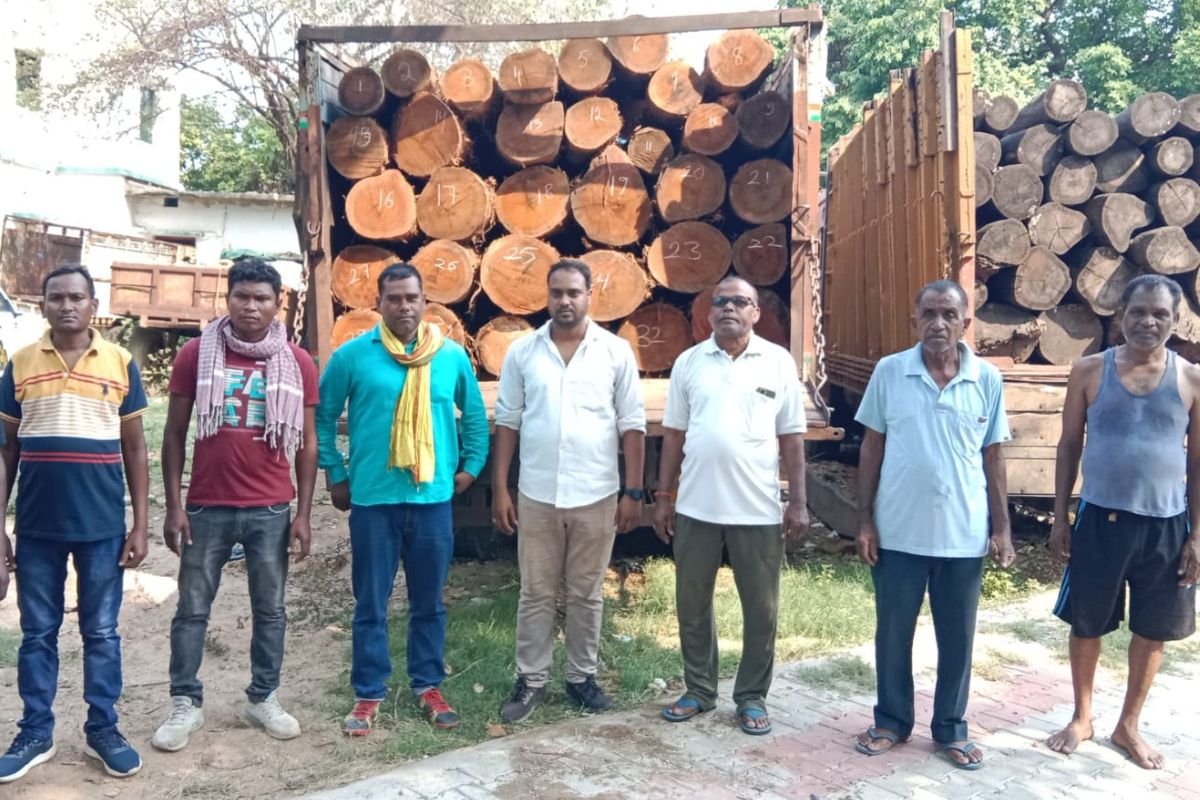 wood seized