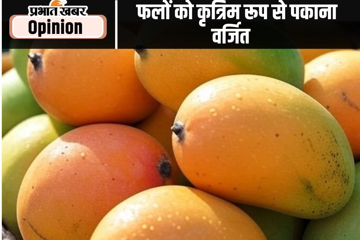 ripe mango