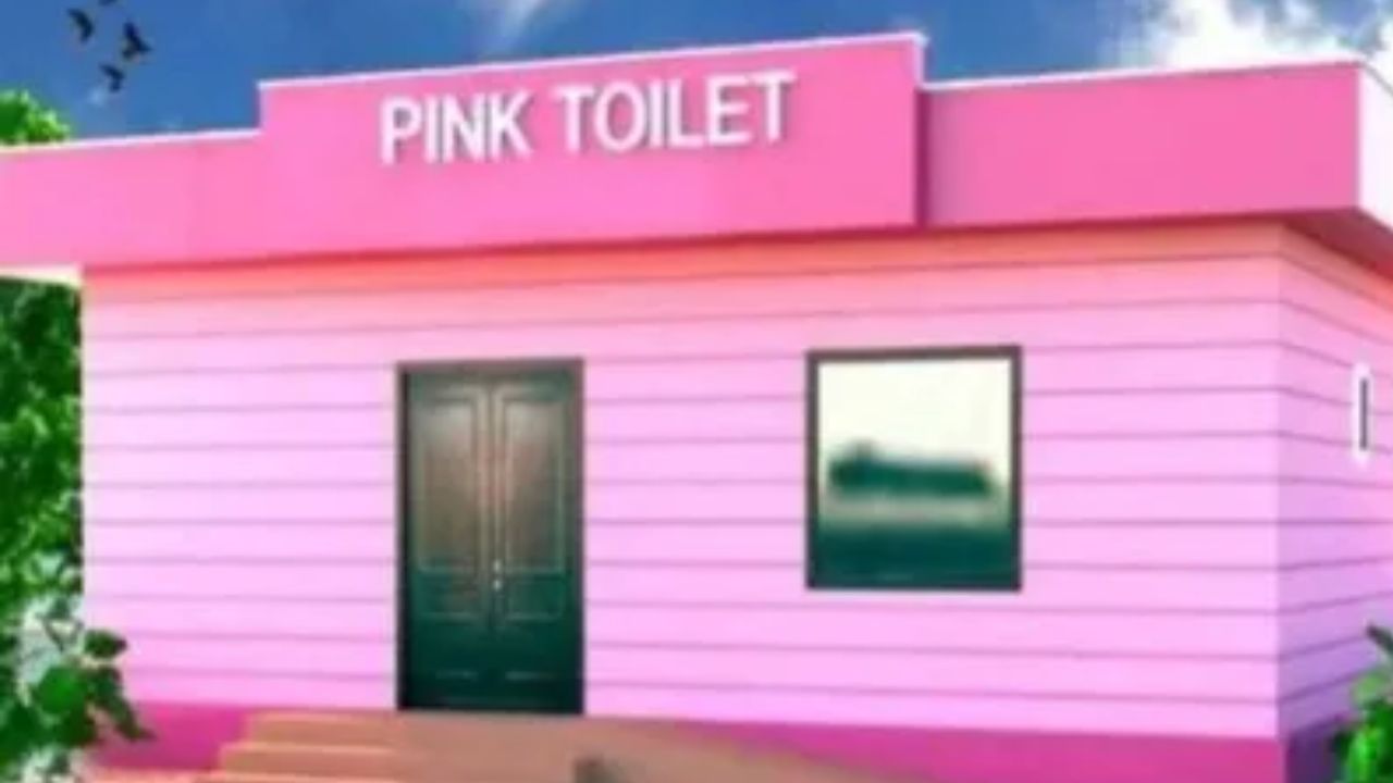 Pink Toilet