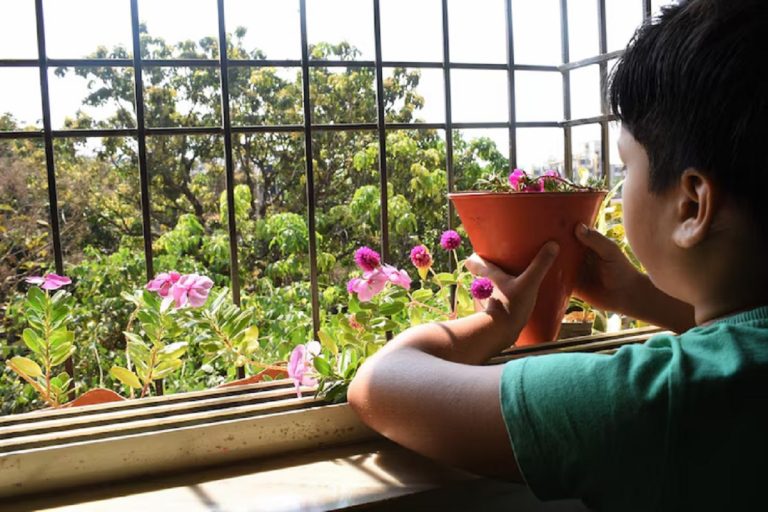 Home Decor: अब बालकनी बनेगी आपकी फेवरेट जगह, अपनाएं ये सिंपल सजावट ट्रिक्स