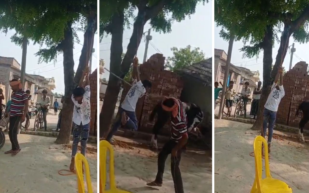 वायरल वीडियो