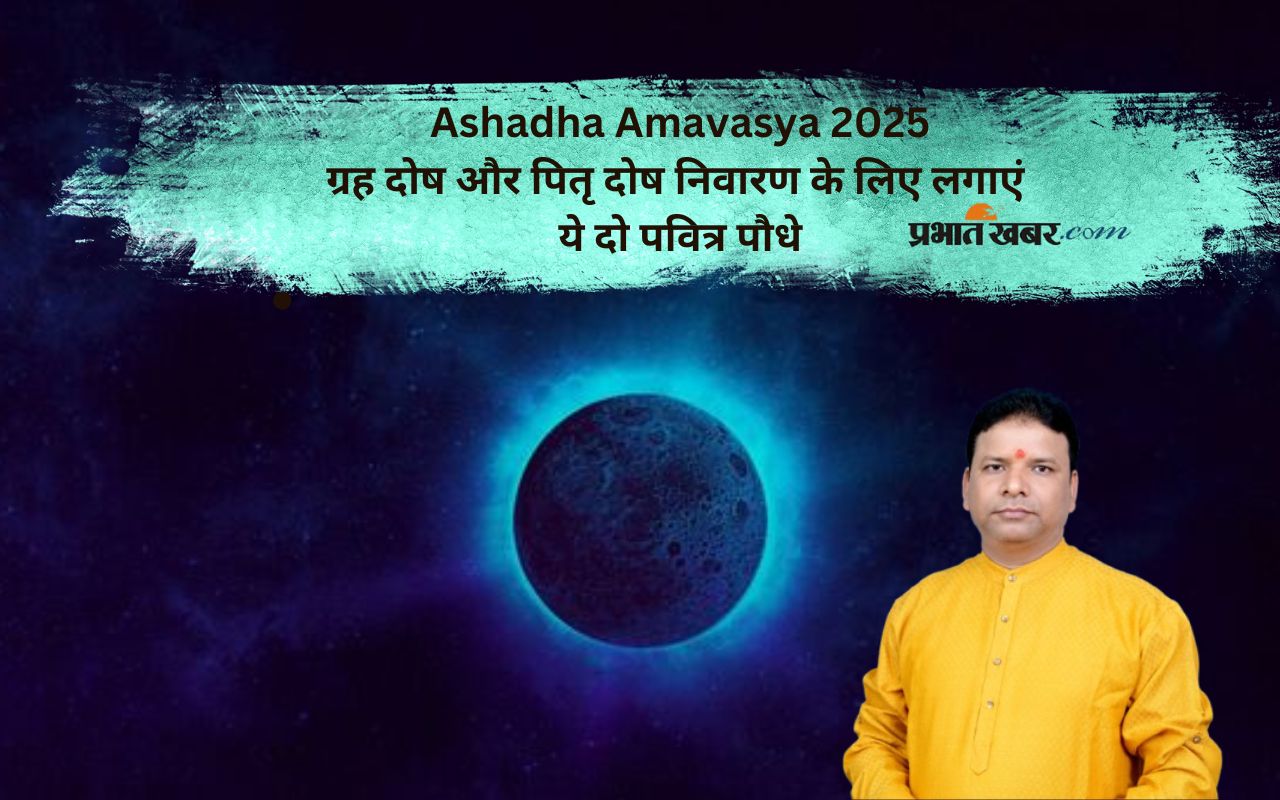 Ashadha Amavasya 2025 secred plant