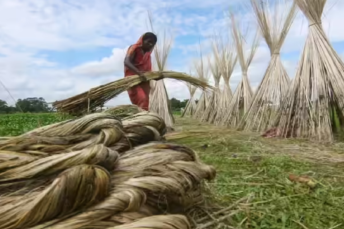 Bangladesh Jute Ban