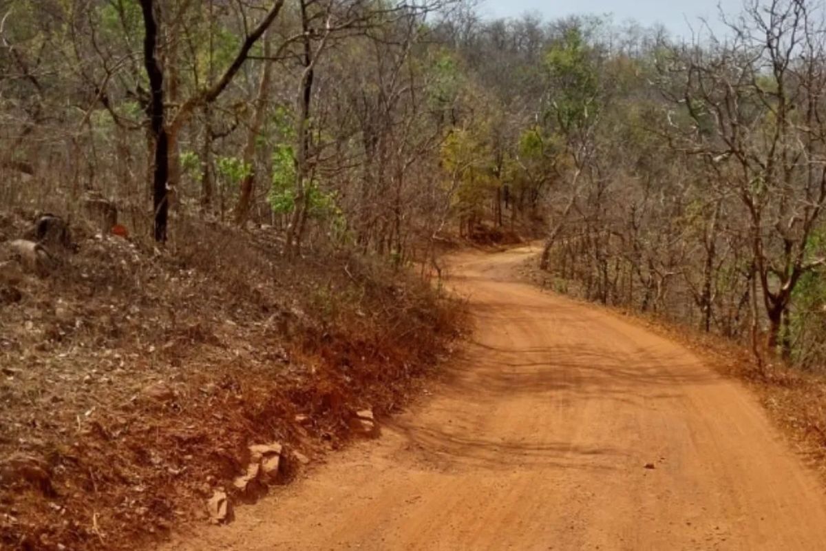 Bihar