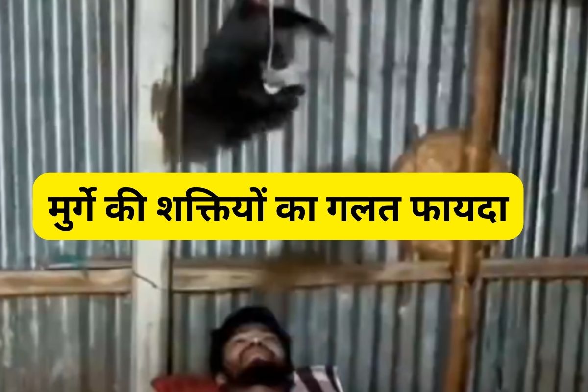 Cock Viral Video