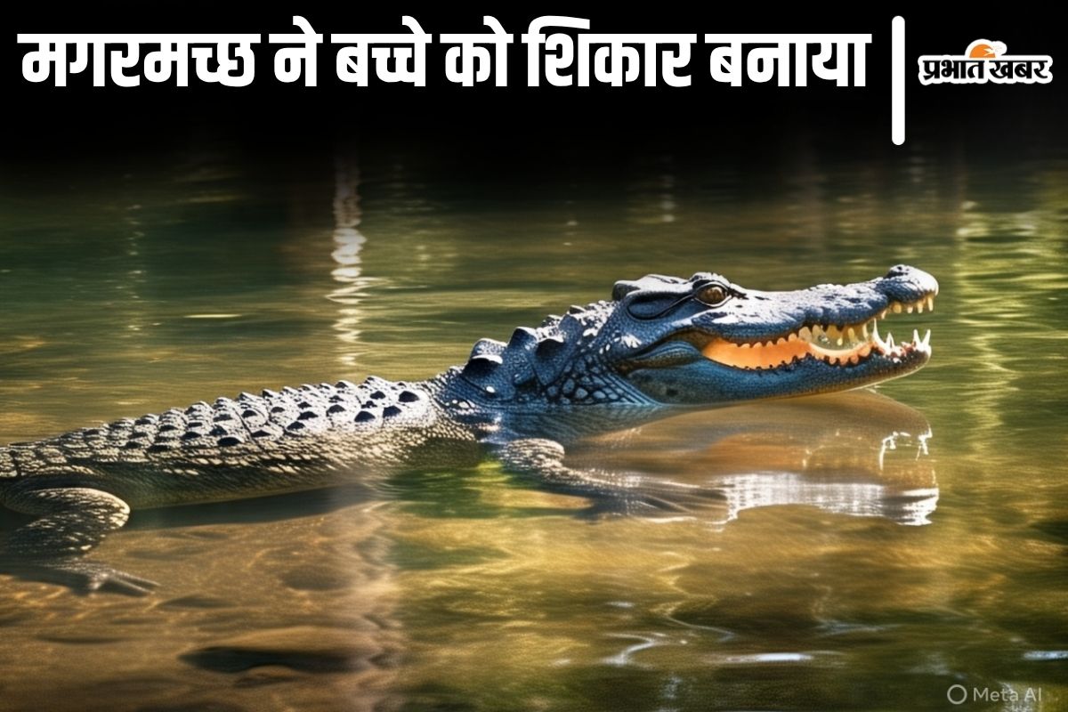 bihar magarmacch news