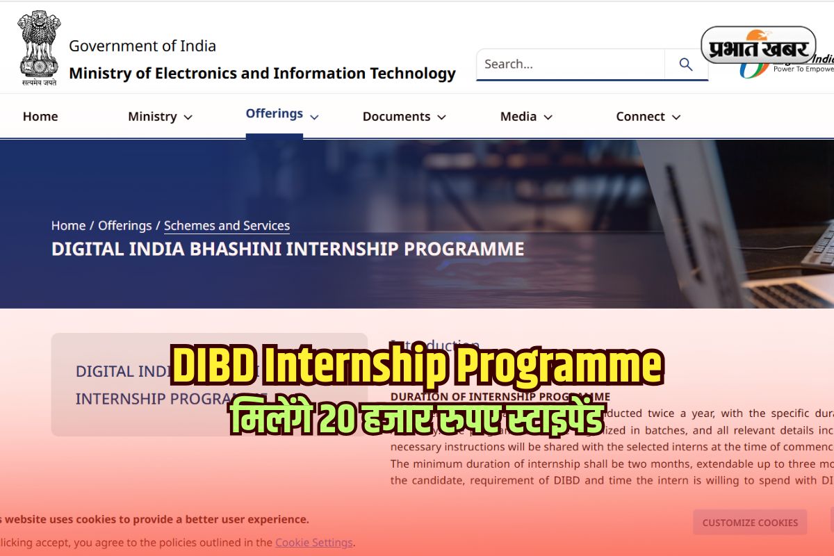 DIBD Internship Programme
