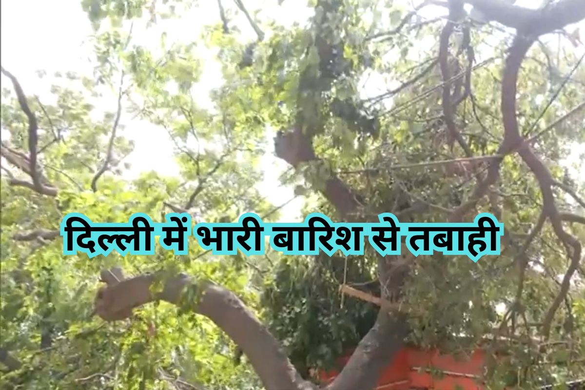 Delhi Heavy Rain