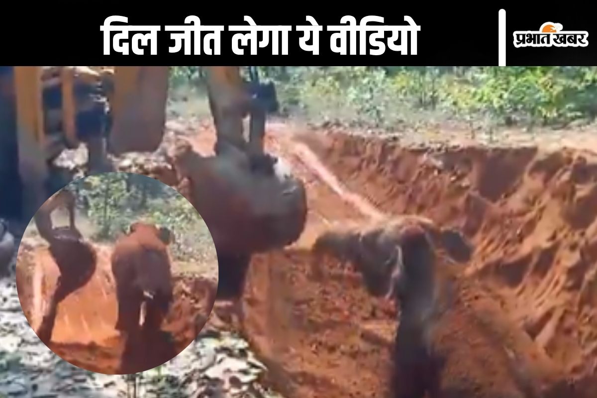 Elephant rescued from pit in Chhattisgarh