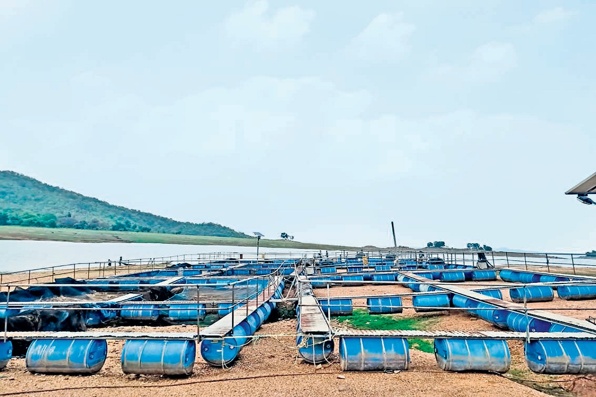 Fish Cage Culture in Dhanbad (Nirsa)