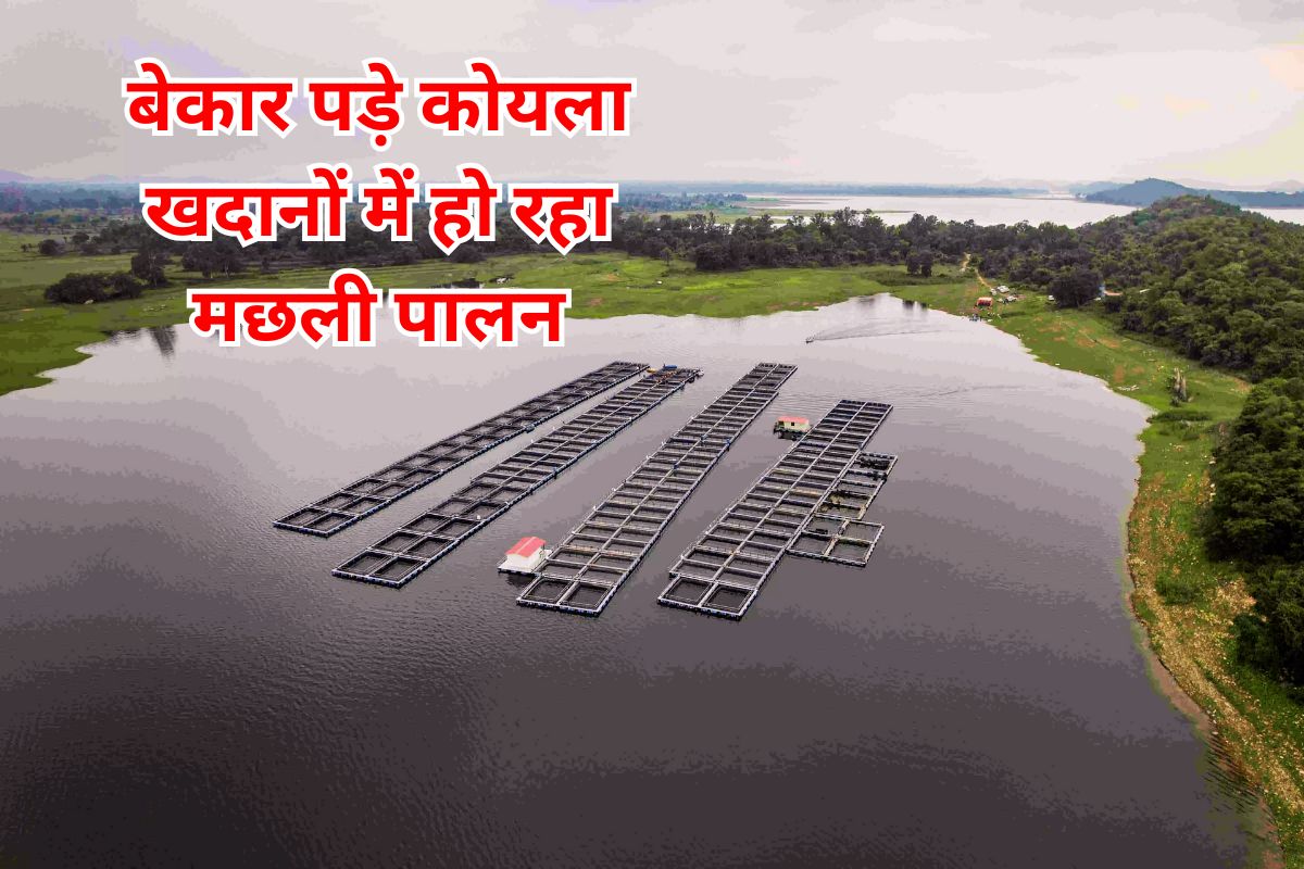 Good News Displaced Earning Livelihood by Fishing Ara Coal Mines Ramgarh
