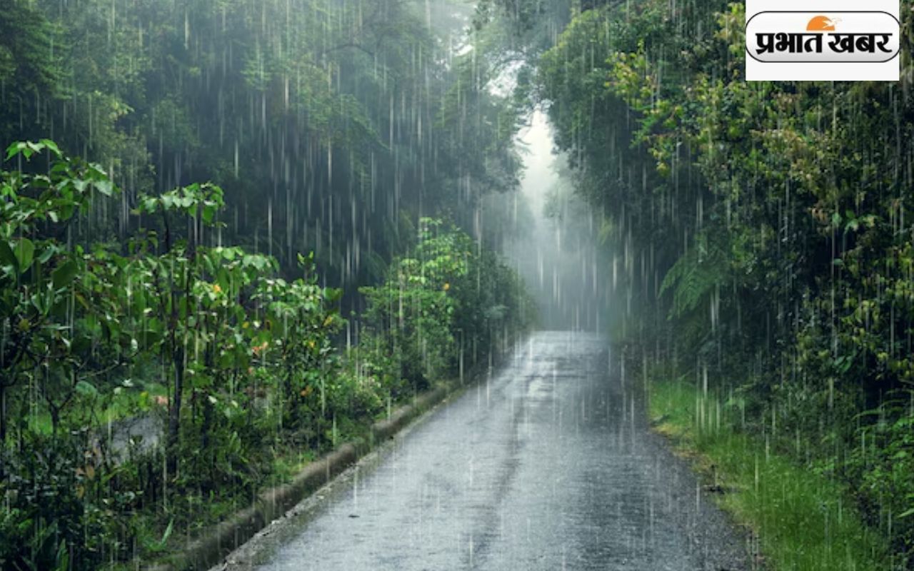 Heavy Rain Alert