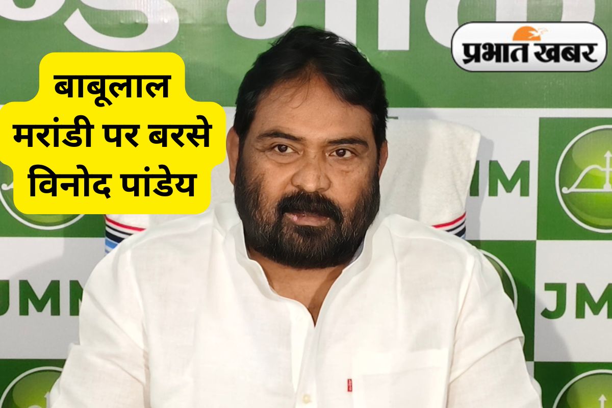 JMM Spokesperson Vinod Kumar Pandey on Hul Diwas Violence in Bhognadih BJP Disturbing Peace