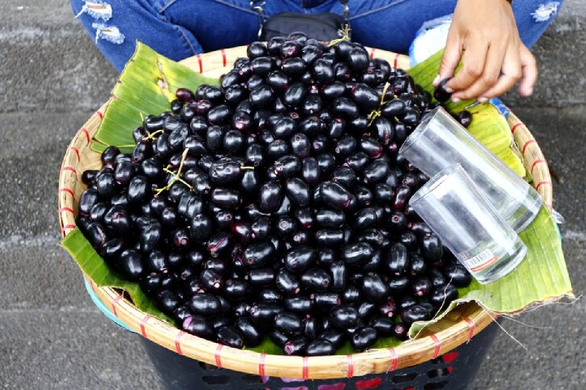 Jamun Export