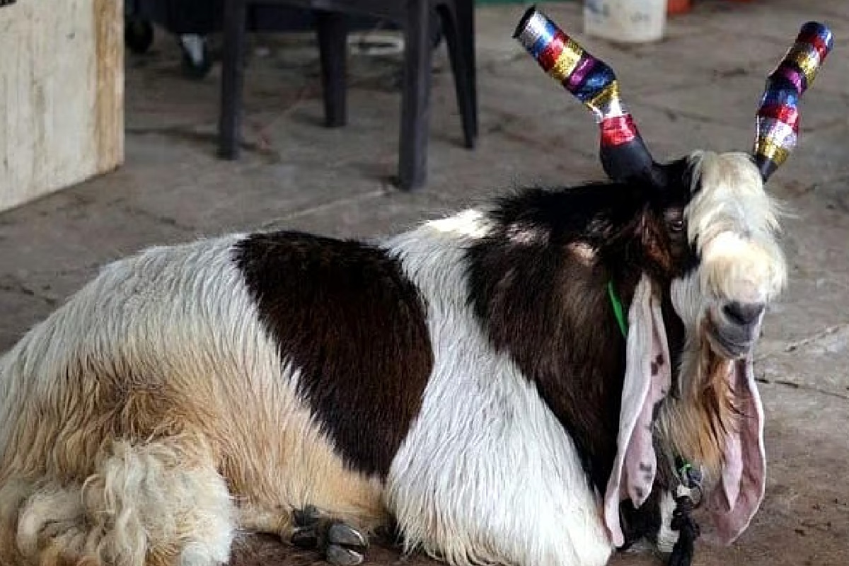 Eid-Ul-Azha