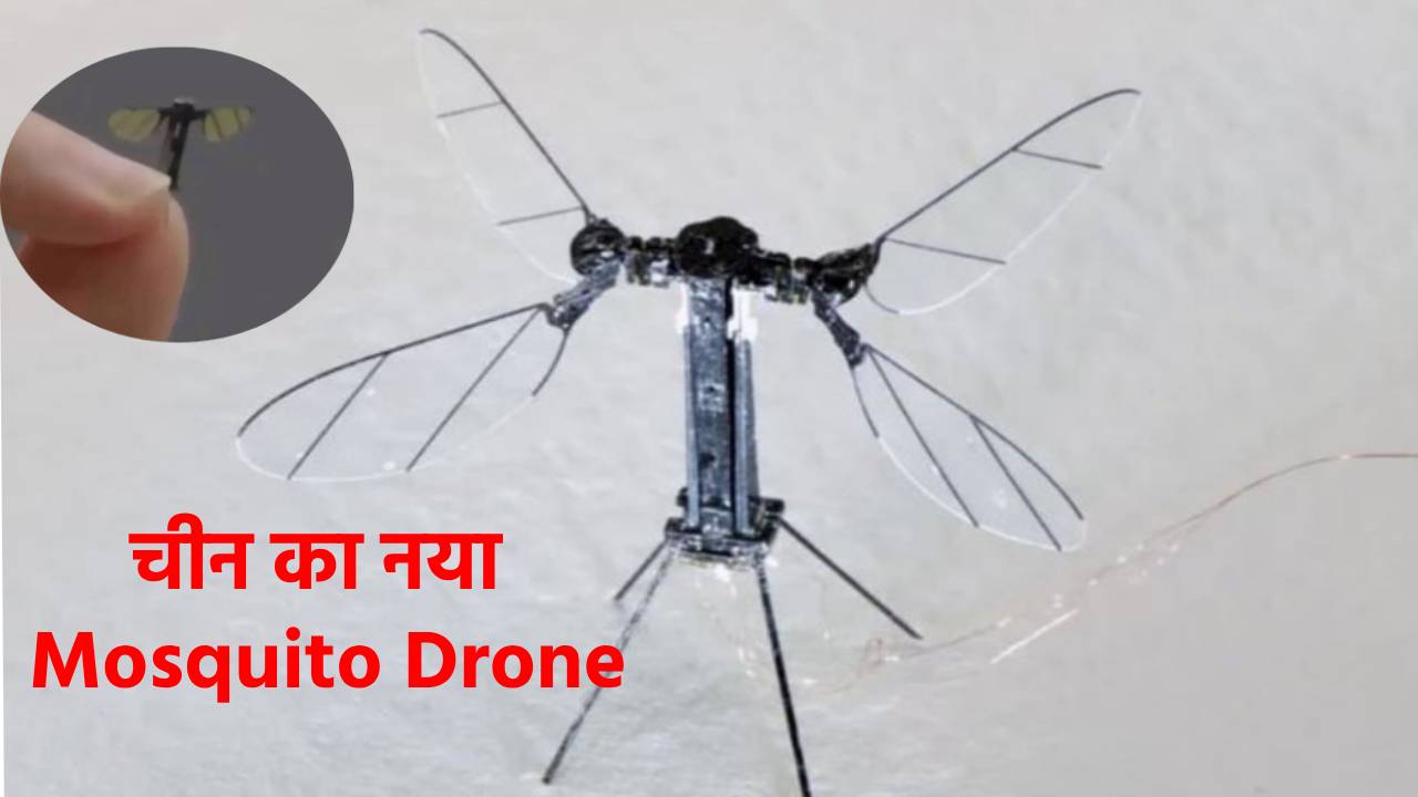 Mosquito Drone