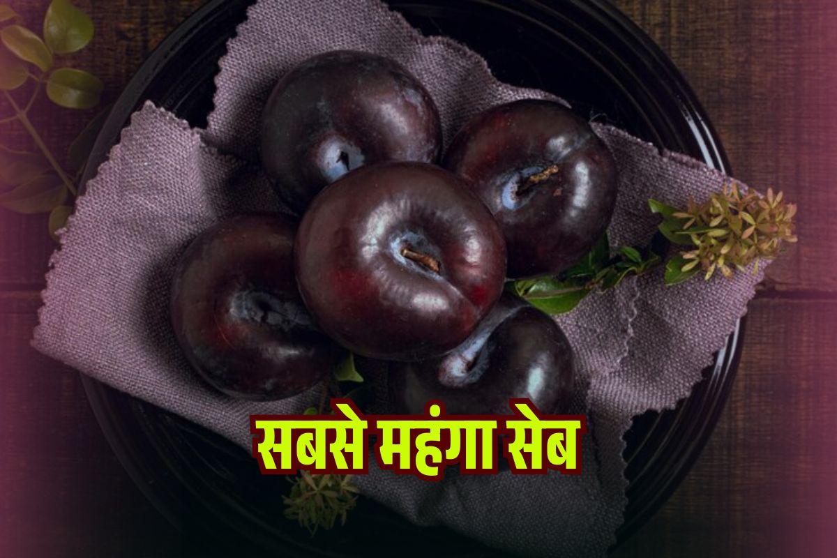 Most Expensive Apple of Black Diamond Apple