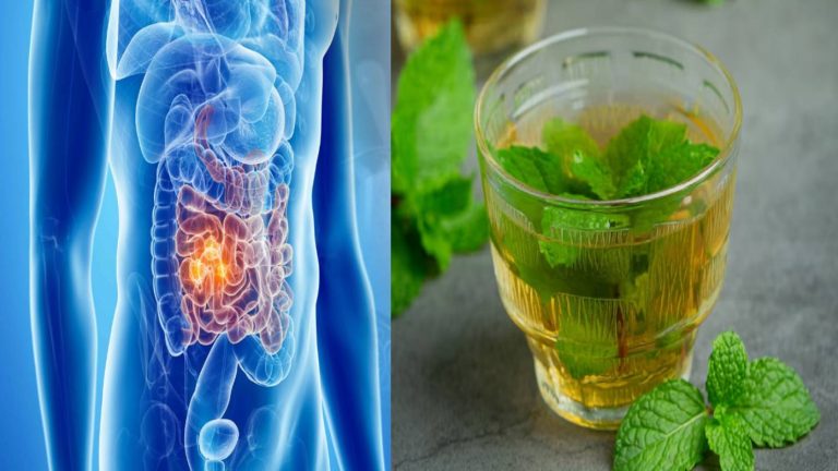 Healthy Drinks: लिवर और पेट की गंदगी के लिए बाप है ये देसी सुपरड्रिंक्स, एक बार जरूर करें ट्राइ