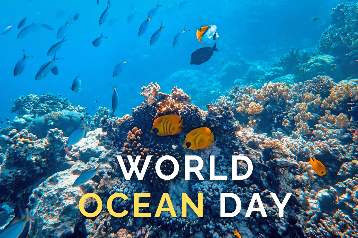 World Ocean Day 2025 Importance of World Ocean Day