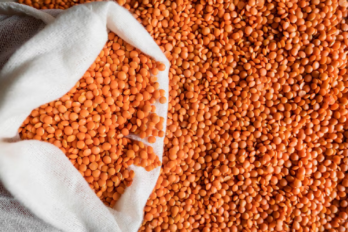 Pulses Import