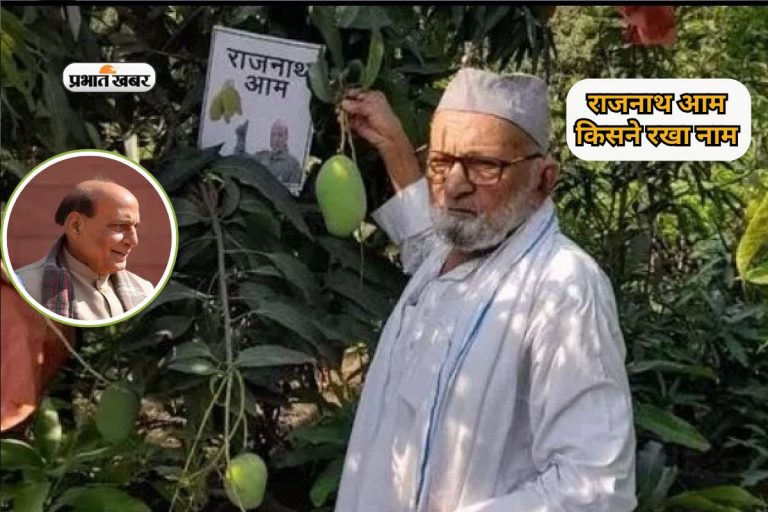 बाजार में आ गया ‘राजनाथ आम’, नहीं जानते भारत के लोग किसने रखा नाम