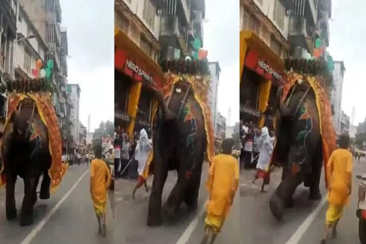 Rath Yatra