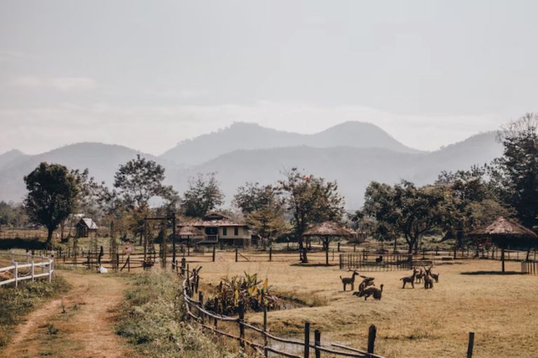 ऐसा गांव जहां ड्राइंग रूम भारत और किचन म्यांमार में, यहां की परंपरा जानकर हिल जाएगा सिर