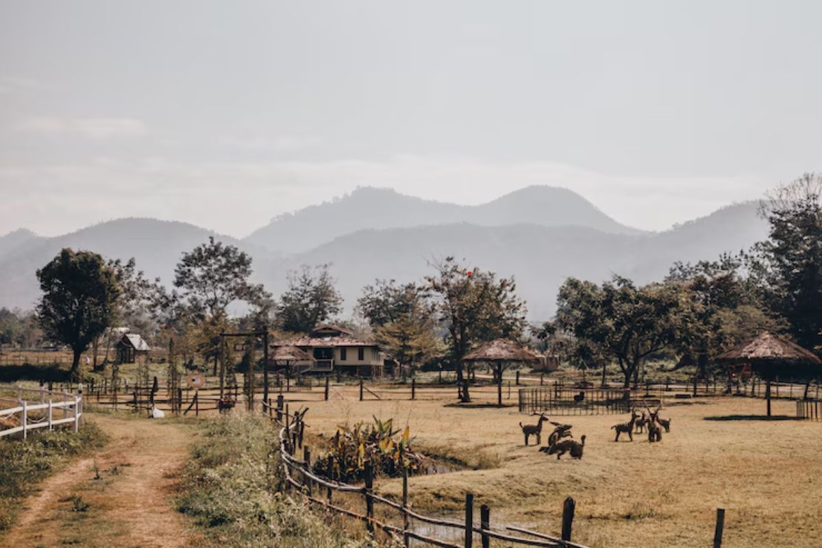 Nagaland Tourism