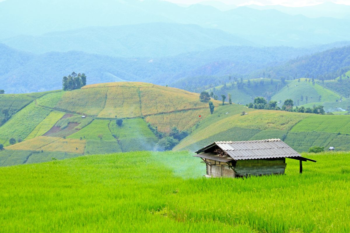 Village