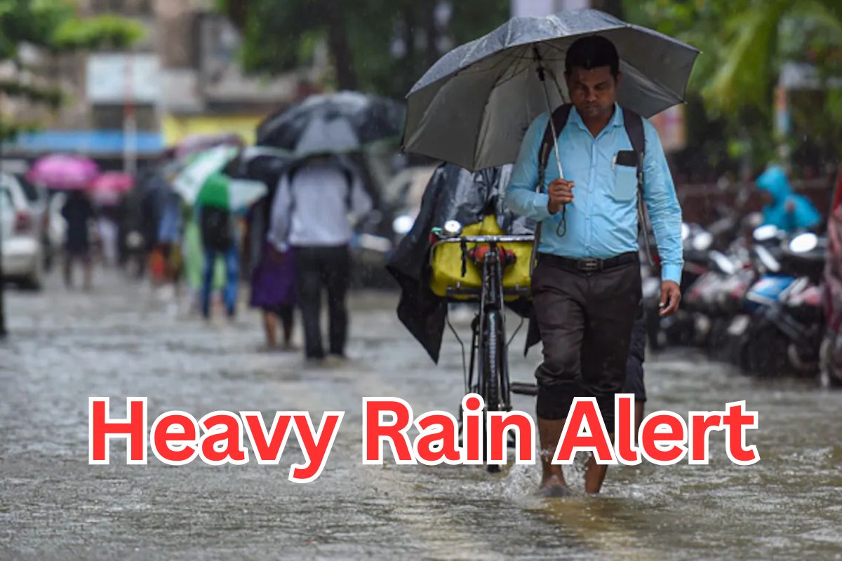 Heavy Rain Alert