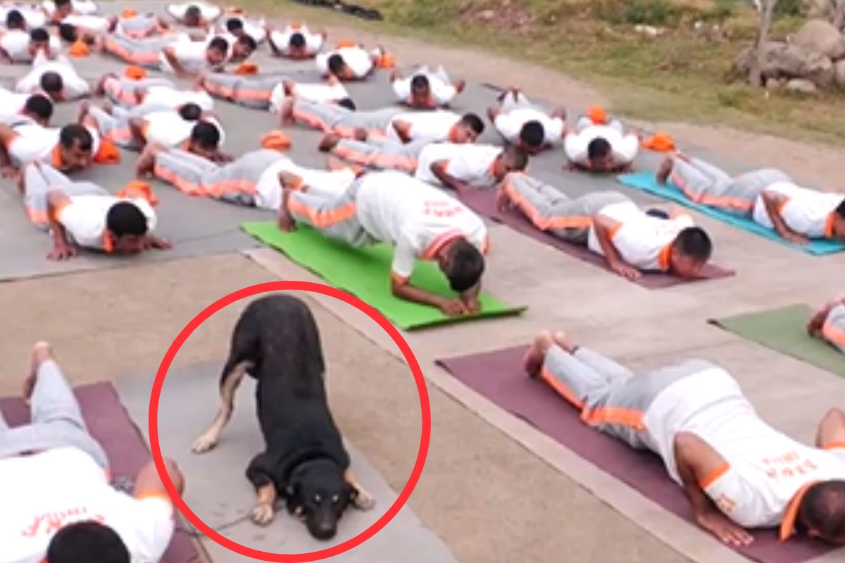 International Yoga Day NDRF officer and dog do yoga