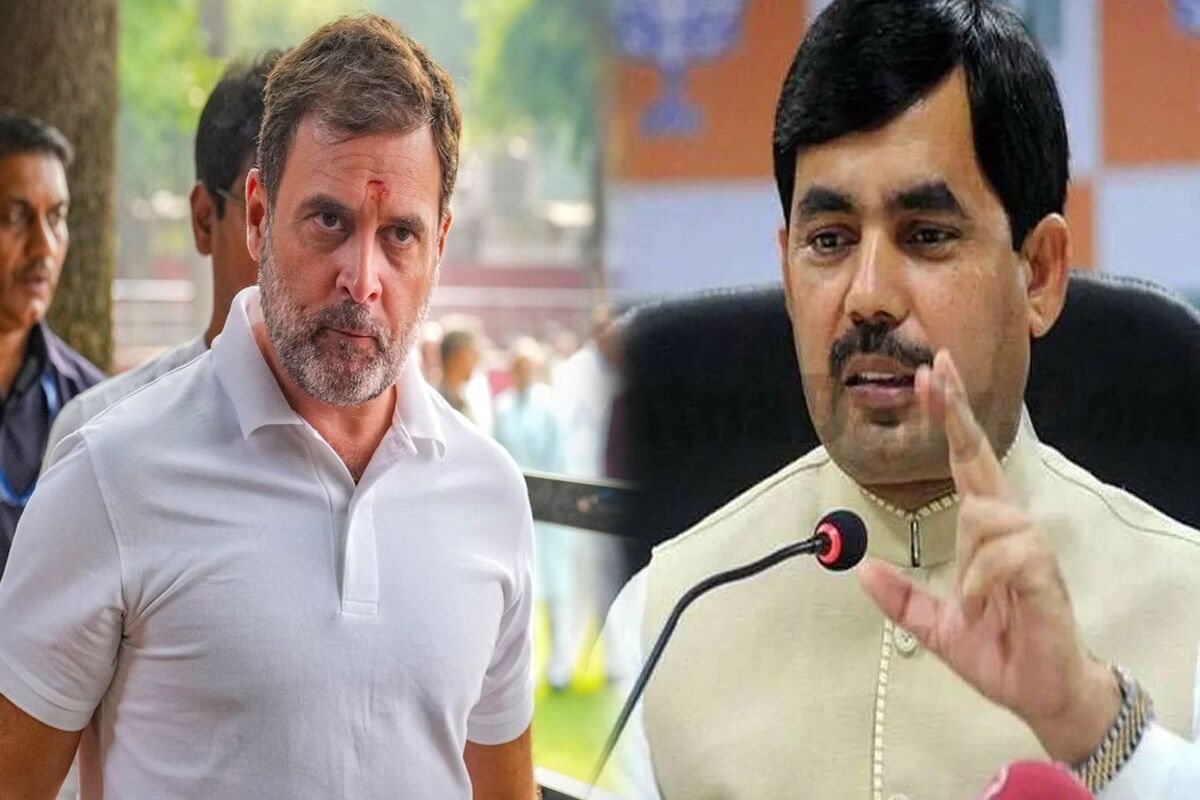 Shahnawaz Hussain, Rahul Gandhi (File Photo)