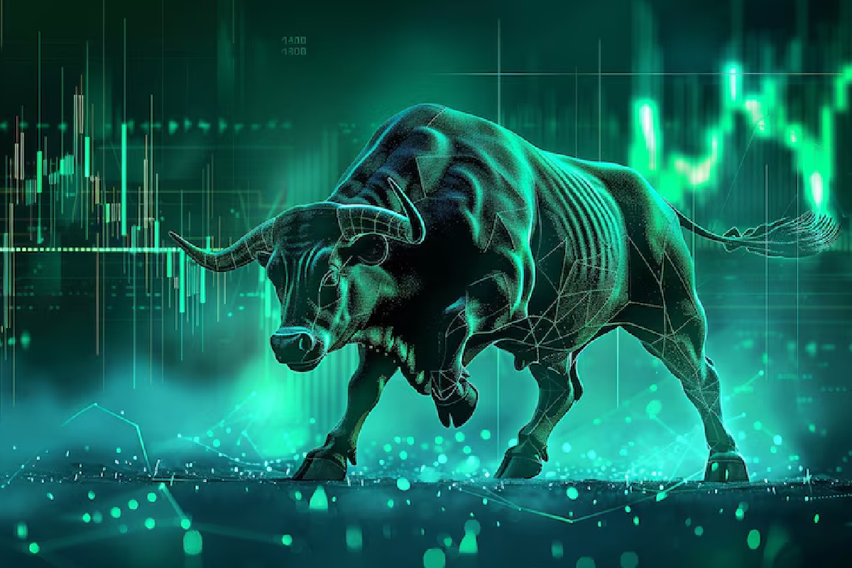 Stock Market Rally
