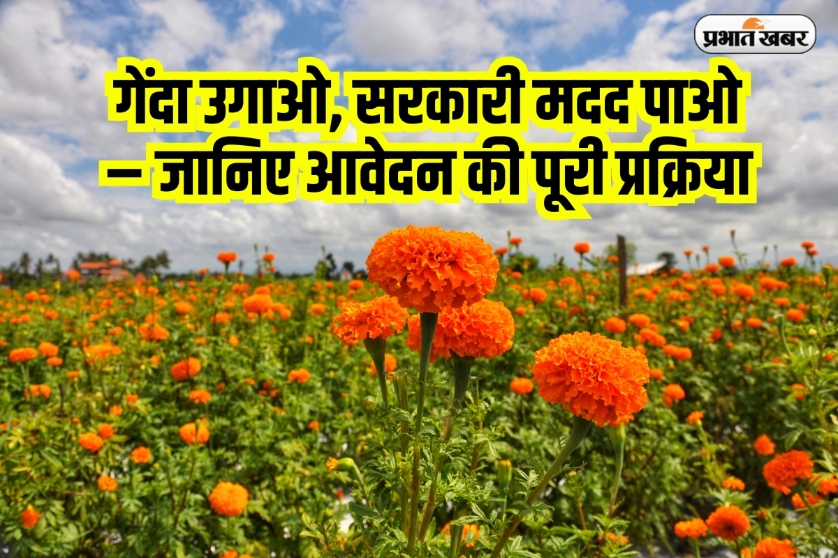 Subsidy Scheme