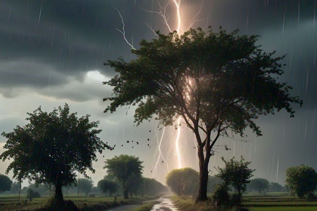 Bihar Rain Alert heavy storm and rain wreak havoc in these 7 districts today!