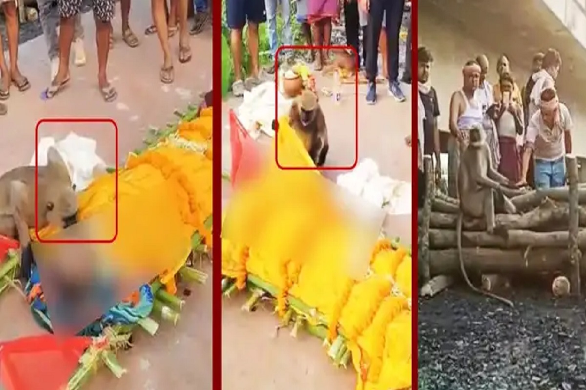 Viral Video