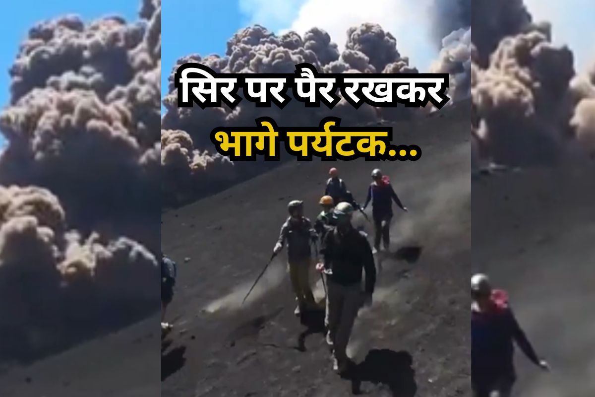 Viral Video
